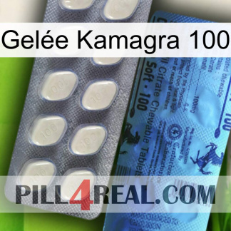 Gelée Kamagra 100 34